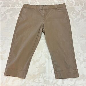 Women’s Maureen Capri Pants in Taupe Color, Size 14